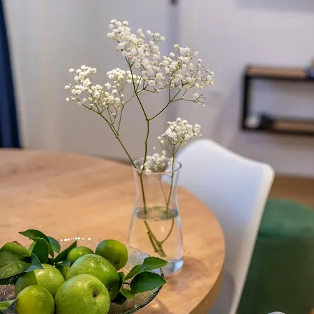 Apartamento Beller New